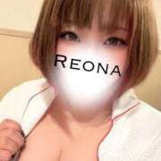 ヒメ日記 2025/04/12 15:27 投稿 れおな 栃木♂風俗の神様宇都宮店