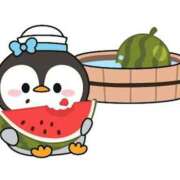 ヒメ日記 2025/08/14 11:30 投稿 とわ レンタDEピンサロ 錦糸町店