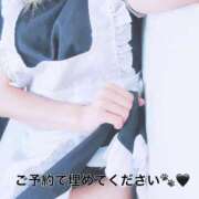 ヒメ日記 2025/11/05 06:46 投稿 立花　せら YUDEN～油殿～堺東店