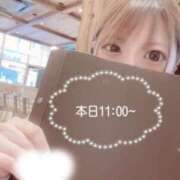 立花　せら おはよう♡ YUDEN～油殿～堺東店