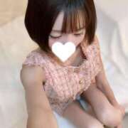 ヒメ日記 2025/03/30 16:44 投稿 かりん 桃李（とうり）