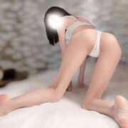 ヒメ日記 2025/08/10 06:14 投稿 かりん 桃李（とうり）