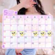 ヒメ日記 2025/05/04 15:07 投稿 あの アラカルト