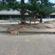 ヒメ日記 2025/08/24 15:42 投稿 あの アラカルト