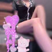 あの ワクワクさん アラカルト