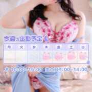 ヒメ日記 2025/12/10 09:44 投稿 あの アラカルト