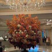 ヒメ日記 2025/10/11 14:26 投稿 くりすたる イクイクサークル鶯谷店