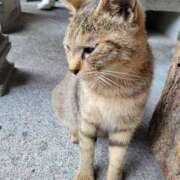 ヒメ日記 2025/04/23 17:25 投稿 みかん 完熟ばなな 横浜