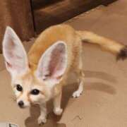 ヒメ日記 2025/04/23 18:05 投稿 みかん 完熟ばなな 横浜