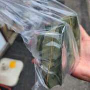 ヒメ日記 2025/04/26 12:27 投稿 みかん 完熟ばなな 横浜