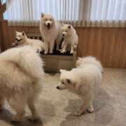 ヒメ日記 2025/05/18 19:50 投稿 みかん 完熟ばなな 横浜