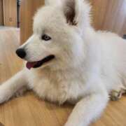 ヒメ日記 2025/05/20 19:20 投稿 みかん 完熟ばなな 横浜