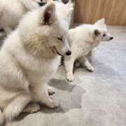 ヒメ日記 2025/05/21 13:51 投稿 みかん 完熟ばなな 横浜