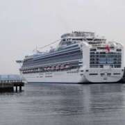 ヒメ日記 2025/10/29 10:37 投稿 みかん 完熟ばなな 横浜