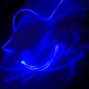 ヒメ日記 2025/12/14 22:53 投稿 みかん 完熟ばなな 横浜