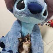 ヒメ日記 2025/11/16 11:20 投稿 みかん 完熟ばなな川崎