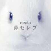 ヒメ日記 2025/03/24 17:47 投稿 みる マリン千姫