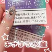 ヒメ日記 2025/04/29 19:36 投稿 みる マリン千姫