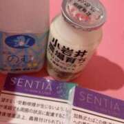 ヒメ日記 2025/06/29 09:26 投稿 みる マリン千姫