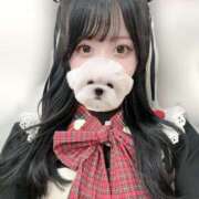 ヒメ日記 2025/11/29 03:56 投稿 ゆめか 東京メンズエステ-TokyoMensEsthe-