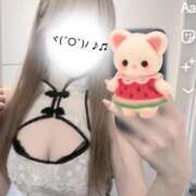 ヒメ日記 2025/12/29 04:11 投稿 ゆめか 東京メンズエステ-TokyoMensEsthe-