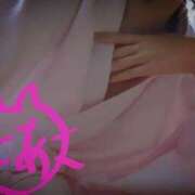 ヒメ日記 2025/03/26 15:03 投稿 とあ sakura