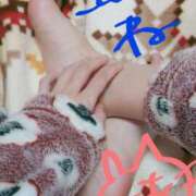 ヒメ日記 2025/03/27 15:52 投稿 とあ sakura