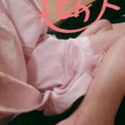 ヒメ日記 2025/04/14 12:22 投稿 とあ sakura