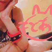 ヒメ日記 2025/04/24 13:12 投稿 とあ sakura