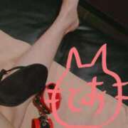 ヒメ日記 2025/05/01 10:02 投稿 とあ sakura