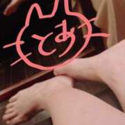 ヒメ日記 2025/05/08 11:02 投稿 とあ sakura