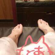 ヒメ日記 2025/05/14 12:01 投稿 とあ sakura