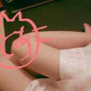 ヒメ日記 2025/05/16 12:04 投稿 とあ sakura