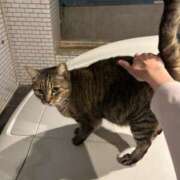 れん 濡れる時 タレント倶楽部Around40