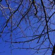 サエ 🍀🍀🍀 ヴィーナス(金津園)