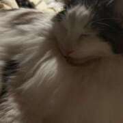 ヒメ日記 2025/04/21 23:25 投稿 星川（ほしかわ） 熟女の風俗最終章 大宮店