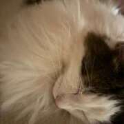 ヒメ日記 2025/07/23 19:15 投稿 星川（ほしかわ） 熟女の風俗最終章 大宮店