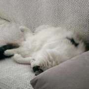 ヒメ日記 2026/04/11 02:05 投稿 星川（ほしかわ） 熟女の風俗最終章 大宮店