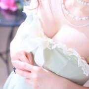 ヒメ日記 2025/04/18 09:18 投稿 椿/Tsubaki ジュリエット