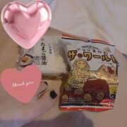 ヒメ日記 2025/04/07 09:06 投稿 きょうこ C.C.CATS