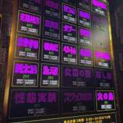 ヒメ日記 2025/05/27 21:24 投稿 きょうこ C.C.CATS