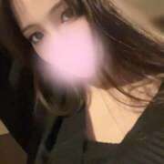 ヒメ日記 2025/06/03 15:41 投稿 きょうこ C.C.CATS