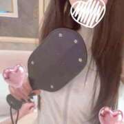 ヒメ日記 2025/06/08 14:21 投稿 きょうこ C.C.CATS