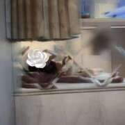 ヒメ日記 2025/06/14 00:02 投稿 きょうこ C.C.CATS