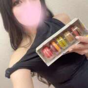 ヒメ日記 2025/06/28 00:22 投稿 きょうこ C.C.CATS