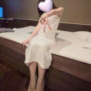 ヒメ日記 2025/07/09 22:21 投稿 きょうこ C.C.CATS