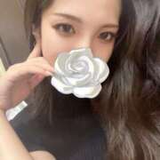 ヒメ日記 2025/07/11 10:05 投稿 きょうこ C.C.CATS