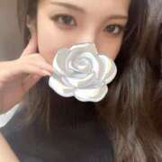 ヒメ日記 2025/07/12 17:41 投稿 きょうこ C.C.CATS