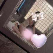 ヒメ日記 2025/07/14 10:44 投稿 きょうこ C.C.CATS