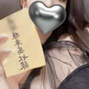 ヒメ日記 2025/07/16 06:41 投稿 きょうこ C.C.CATS